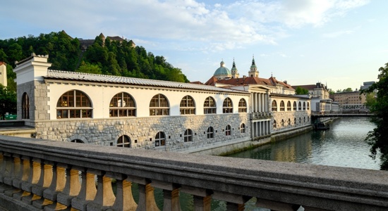 Prenova strehe na Plečnikovih tržnicah