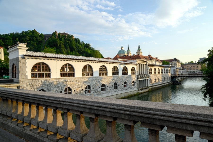 Prenova strehe na Plečnikovih tržnicah