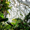 Amazon Spheres