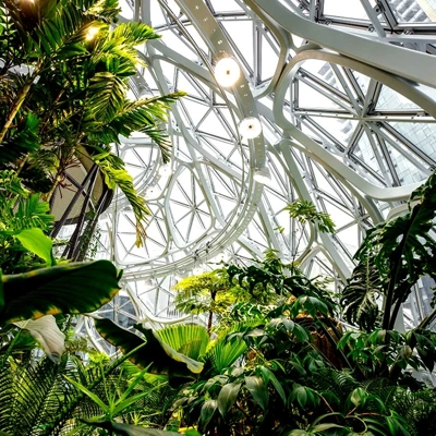 Amazon Spheres