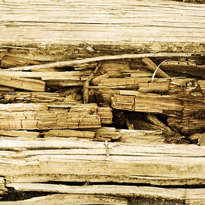 JUB: Kako ohraniti naravni izgled lesa