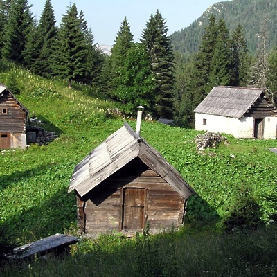 Živa Deu: Zakaj lesena hiša?