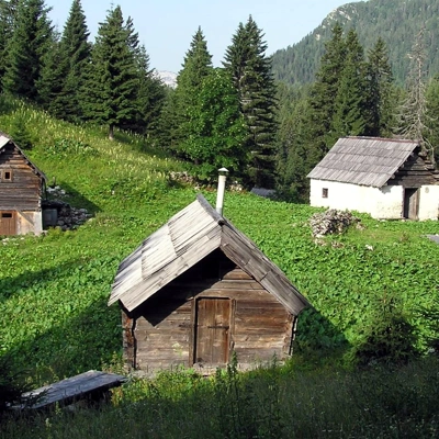 Živa Deu: Zakaj lesena hiša?
