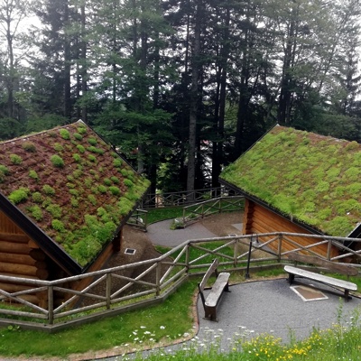 Živa Deu: Zelena – z zemljo in rastlinjem prekrita streha