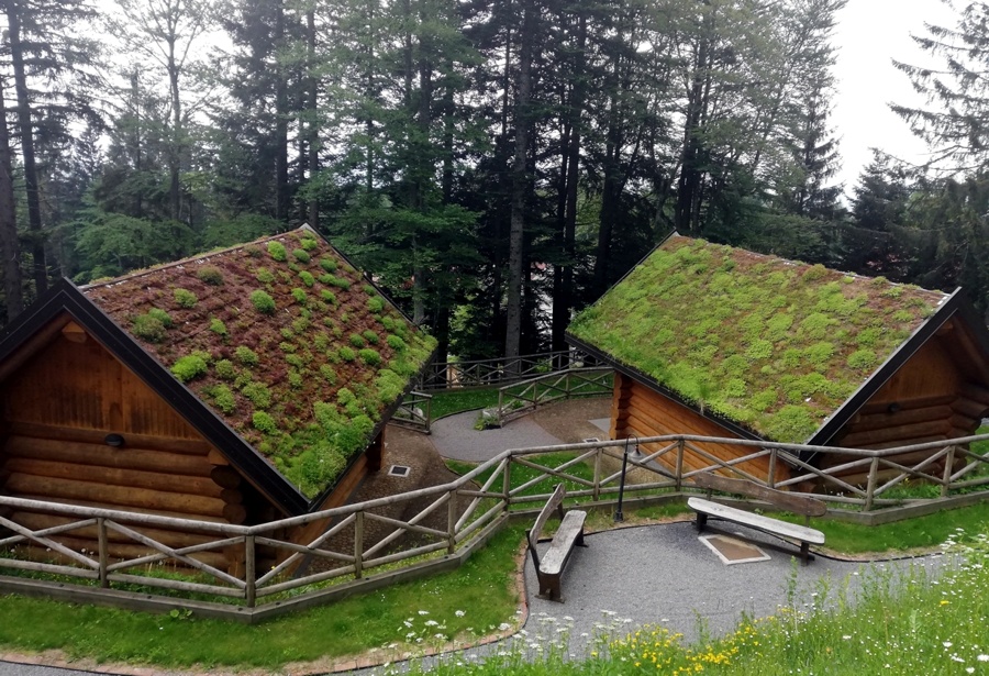 Živa Deu: Zelena – z zemljo in rastlinjem prekrita streha