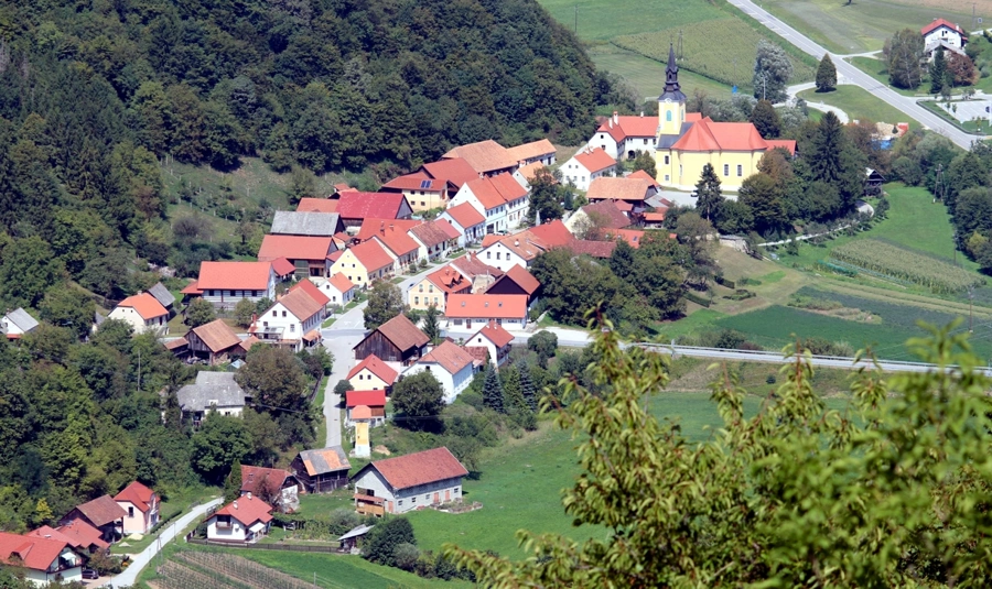 Živa Deu: Uporabnost in lepota strehe