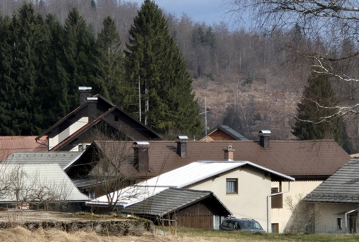 Živa Deu: Uporabnost in lepota strehe