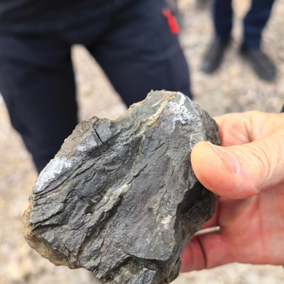 Plaz Slano blato: od naravne sile do inženirskega nadzora